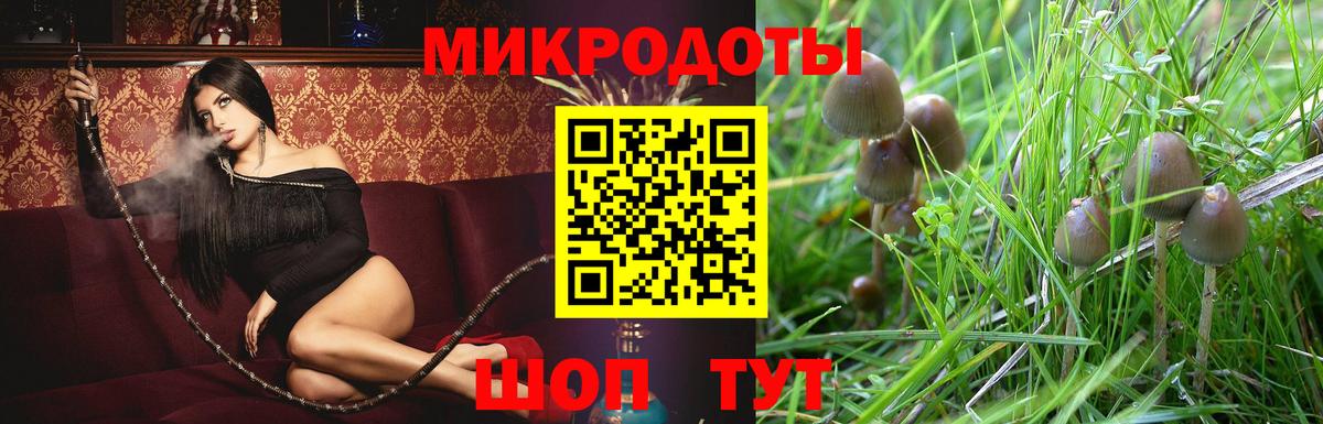 Копейск  Псилоцибиновые грибы ЛСД  Псилоцибиновые грибы Cubensis  Вход с VPN 